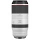 CANON RF 100-500MM F/4.5-7.1L IS USM